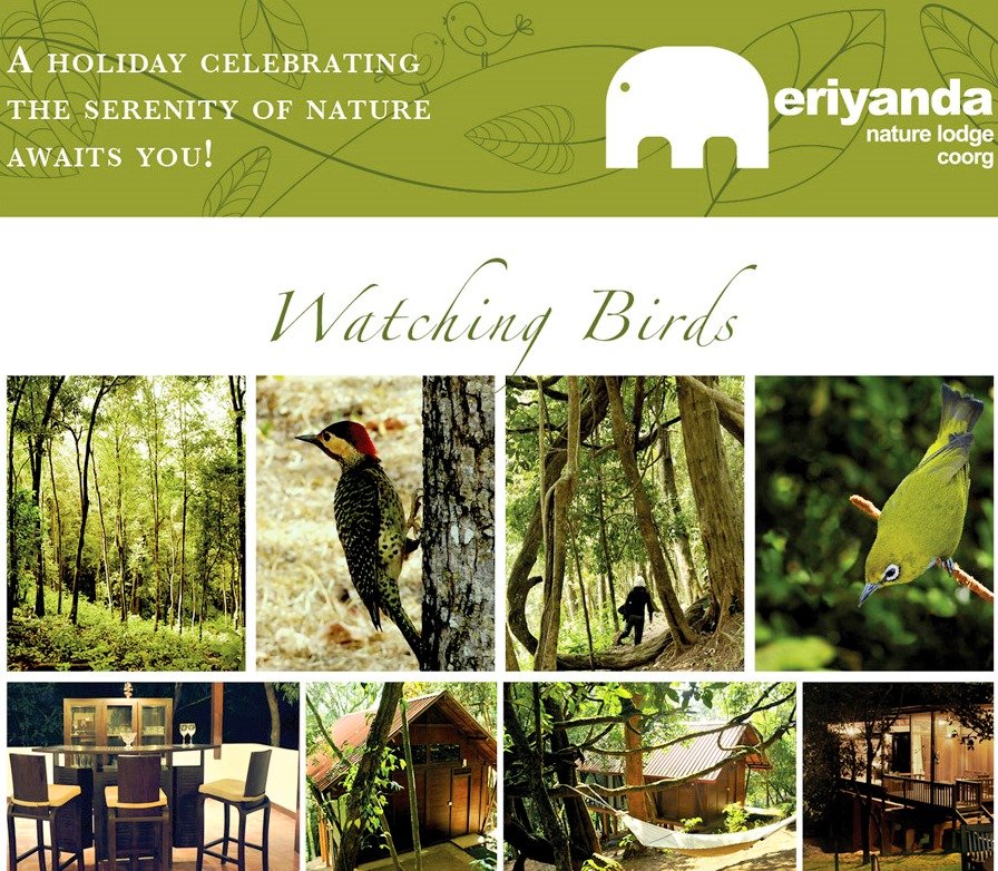 Watching Birds at Meriyanda Nature Lodge ~ Coorg