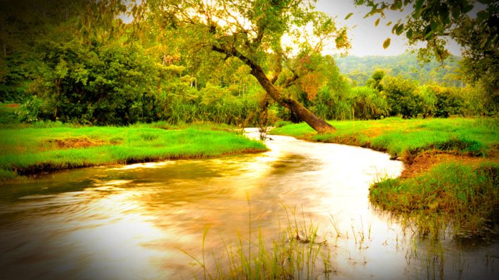 River Hattihole- Gurgling stream of Cauvery at Meriyanda Nature Lodge